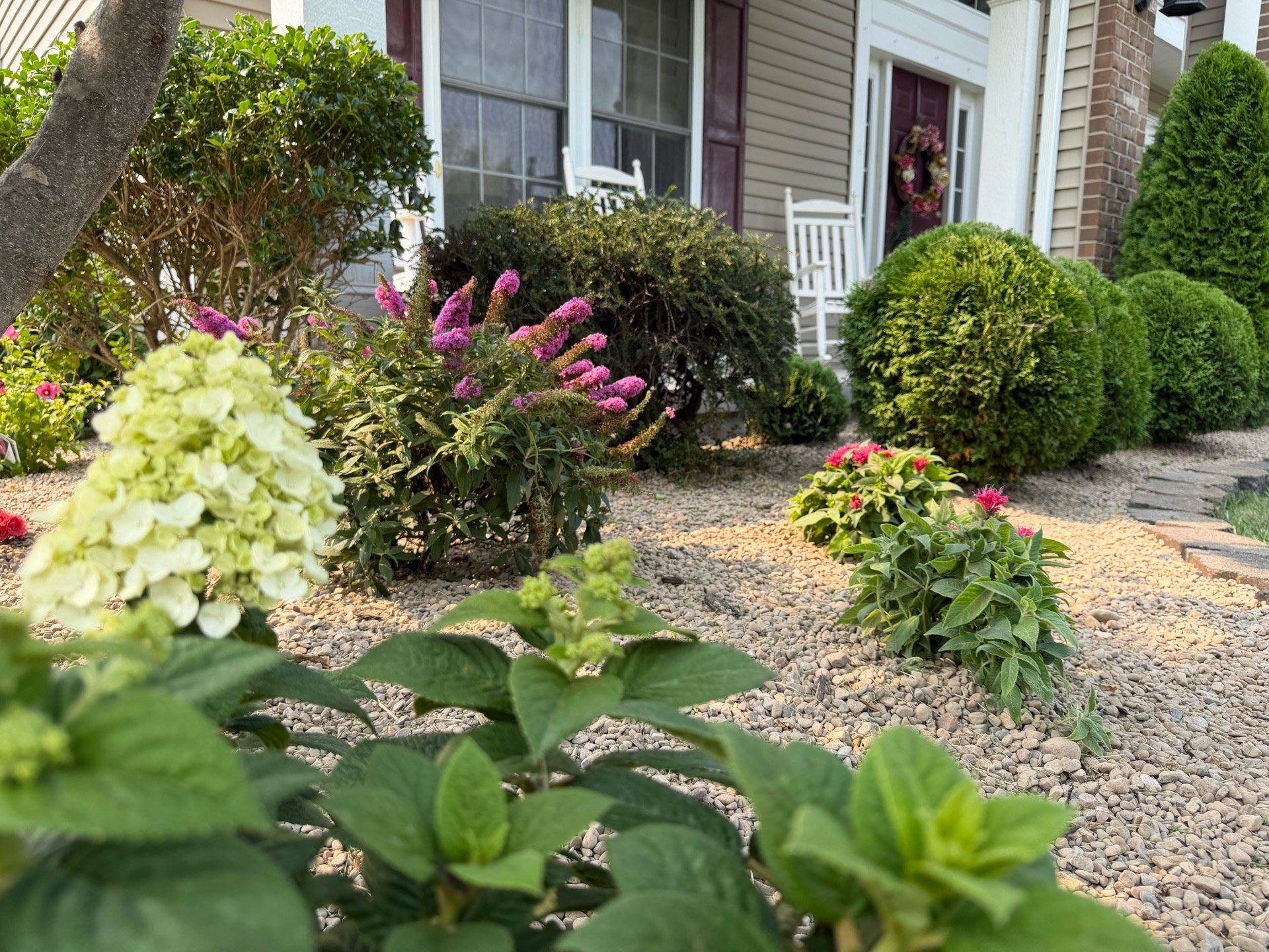 Finished landscaping