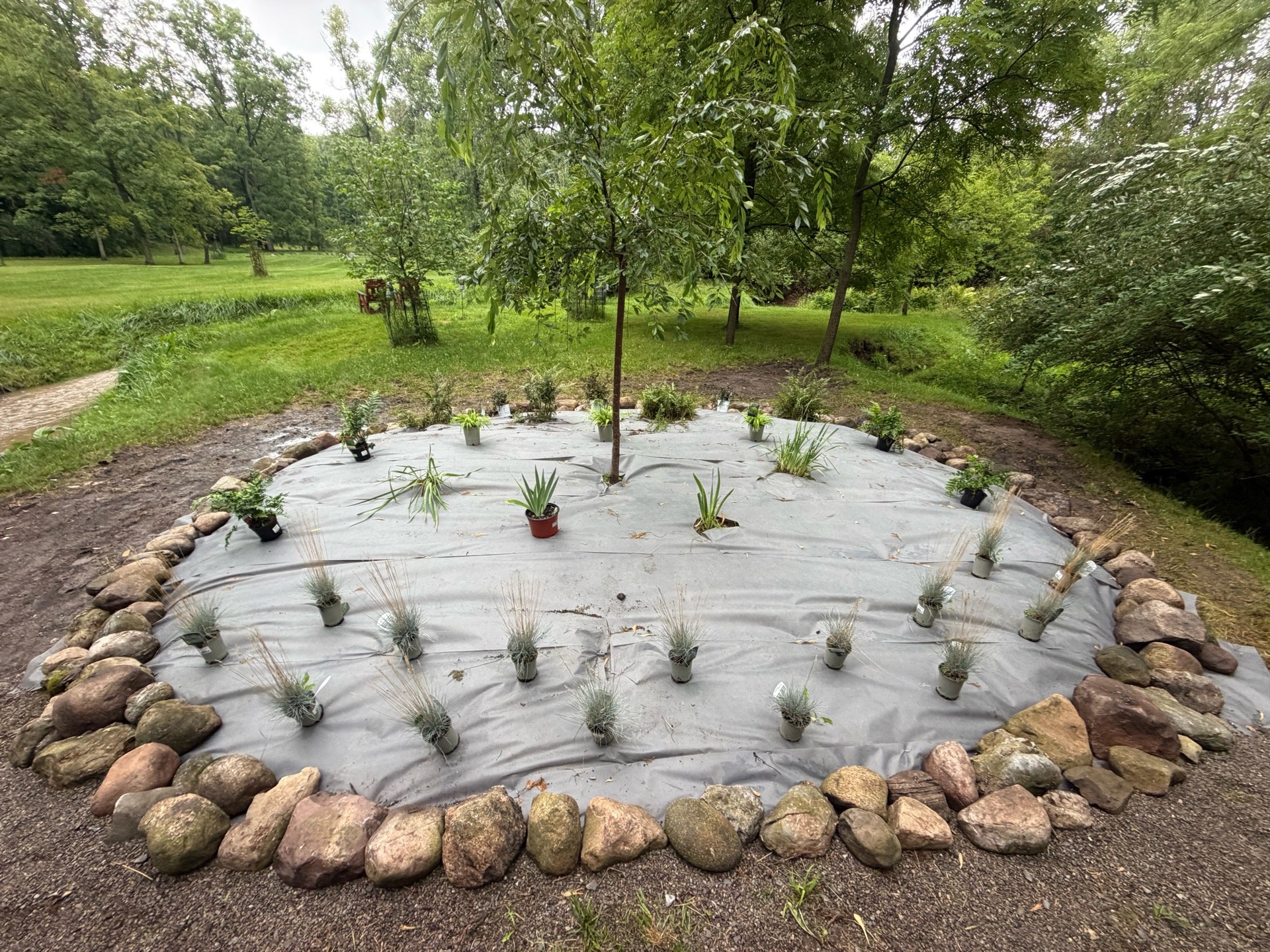 New fabric down and the new design planted out