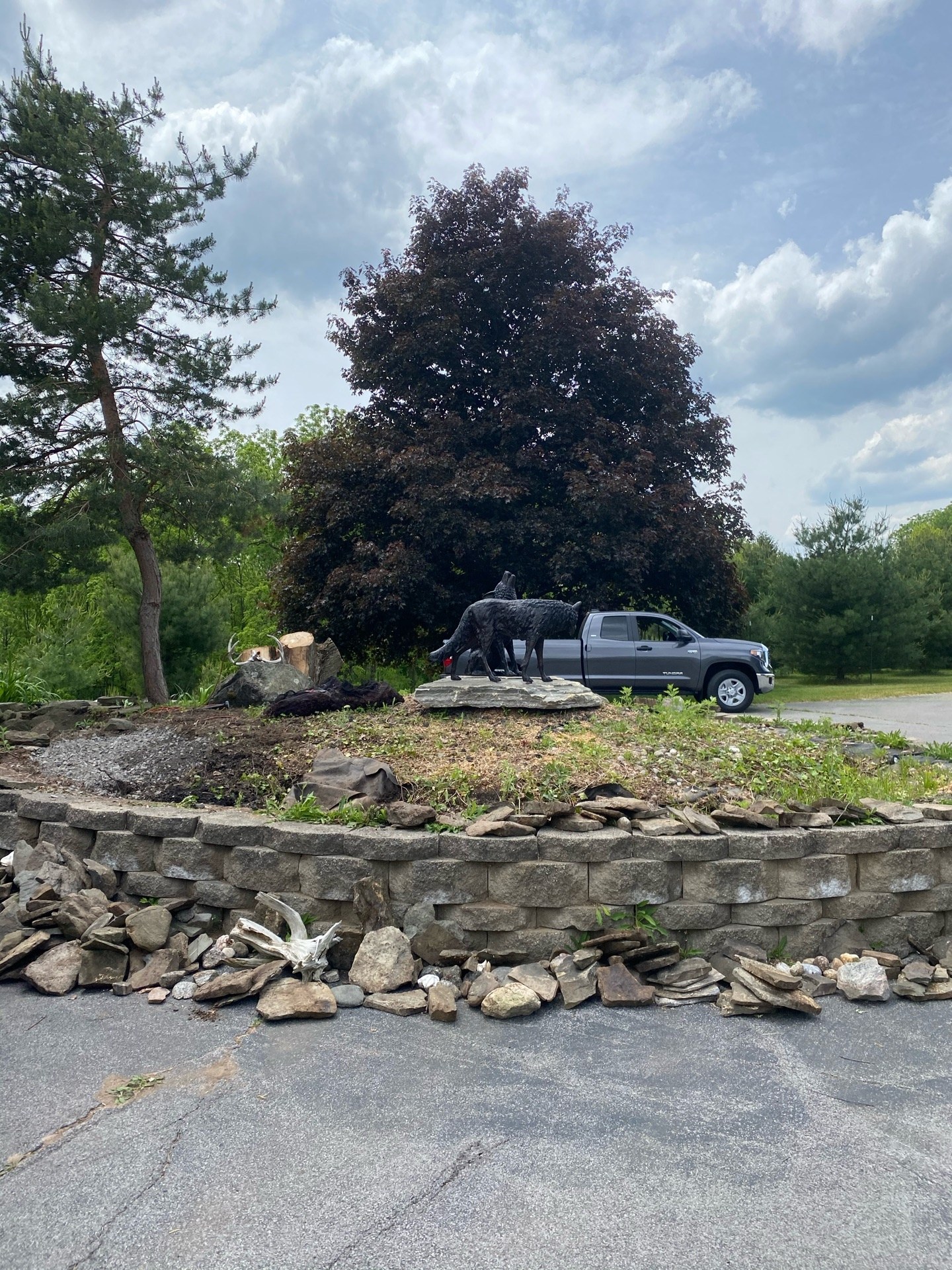 The tree removed and the bed cleared out