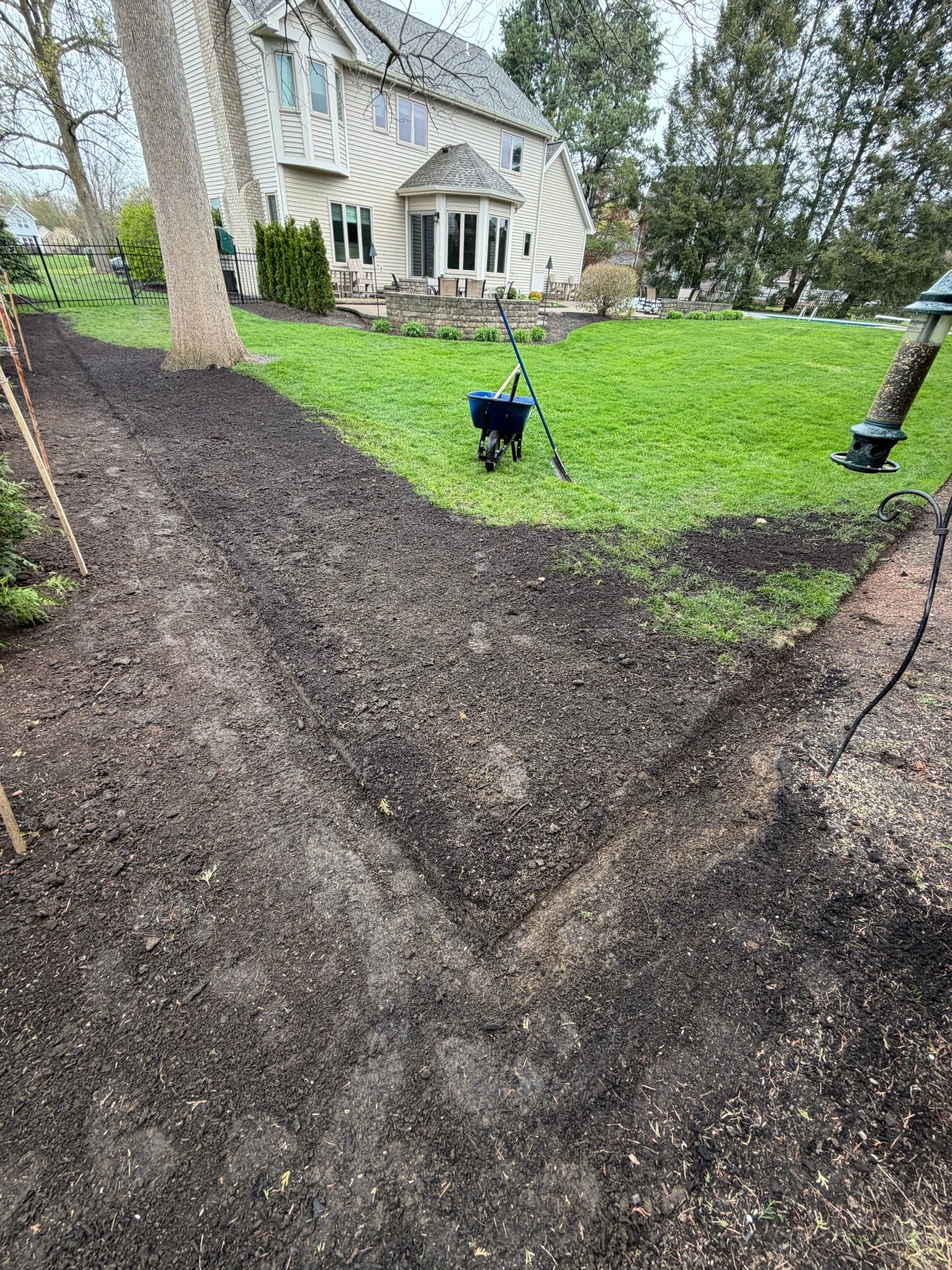 Built-up soil edge defining a new mulch bed against the lawn (Photo 1778)