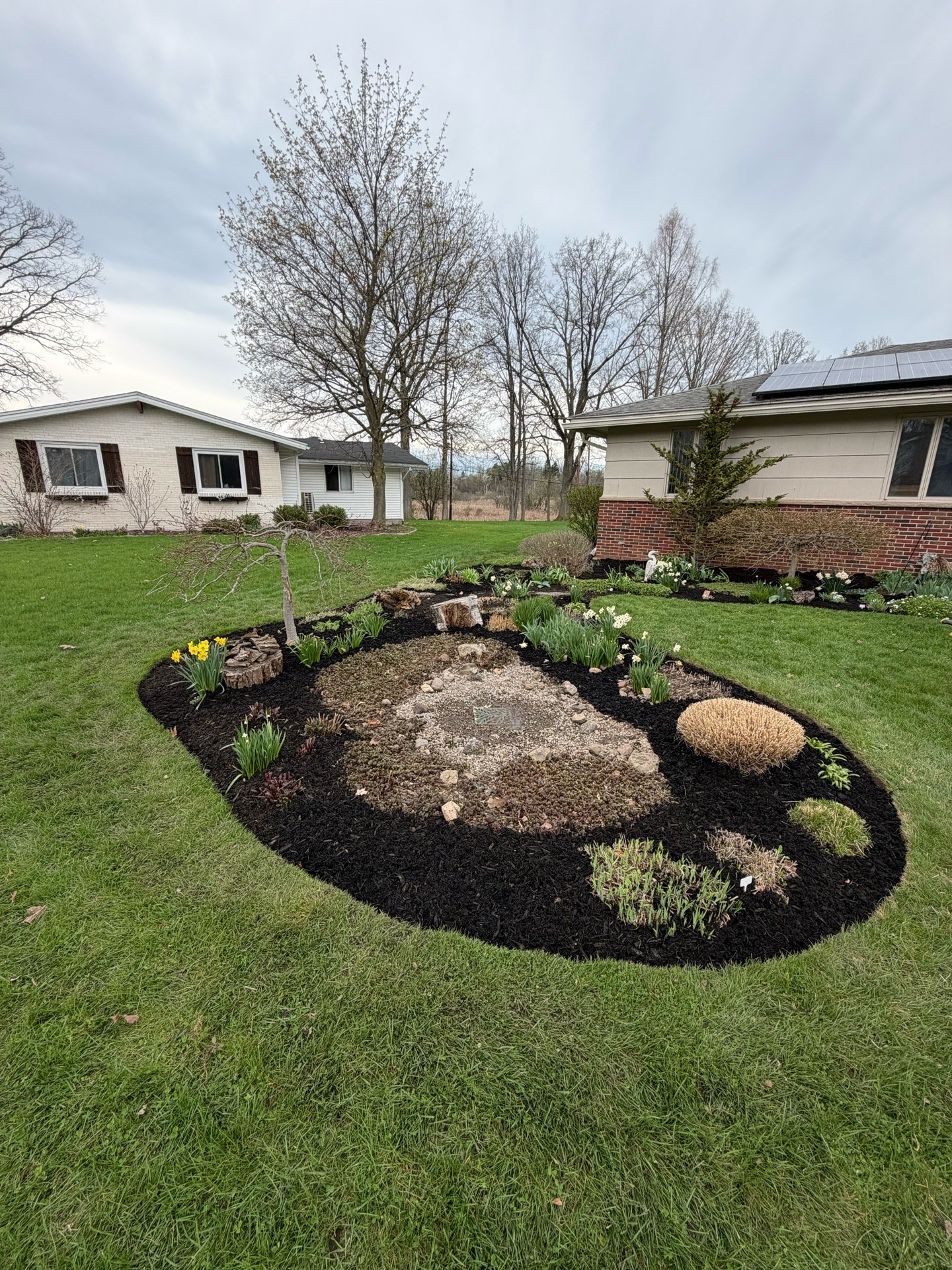 Full spring cleanup — debris removed, perennials trimmed, beds edged and freshly mulched (After 1)