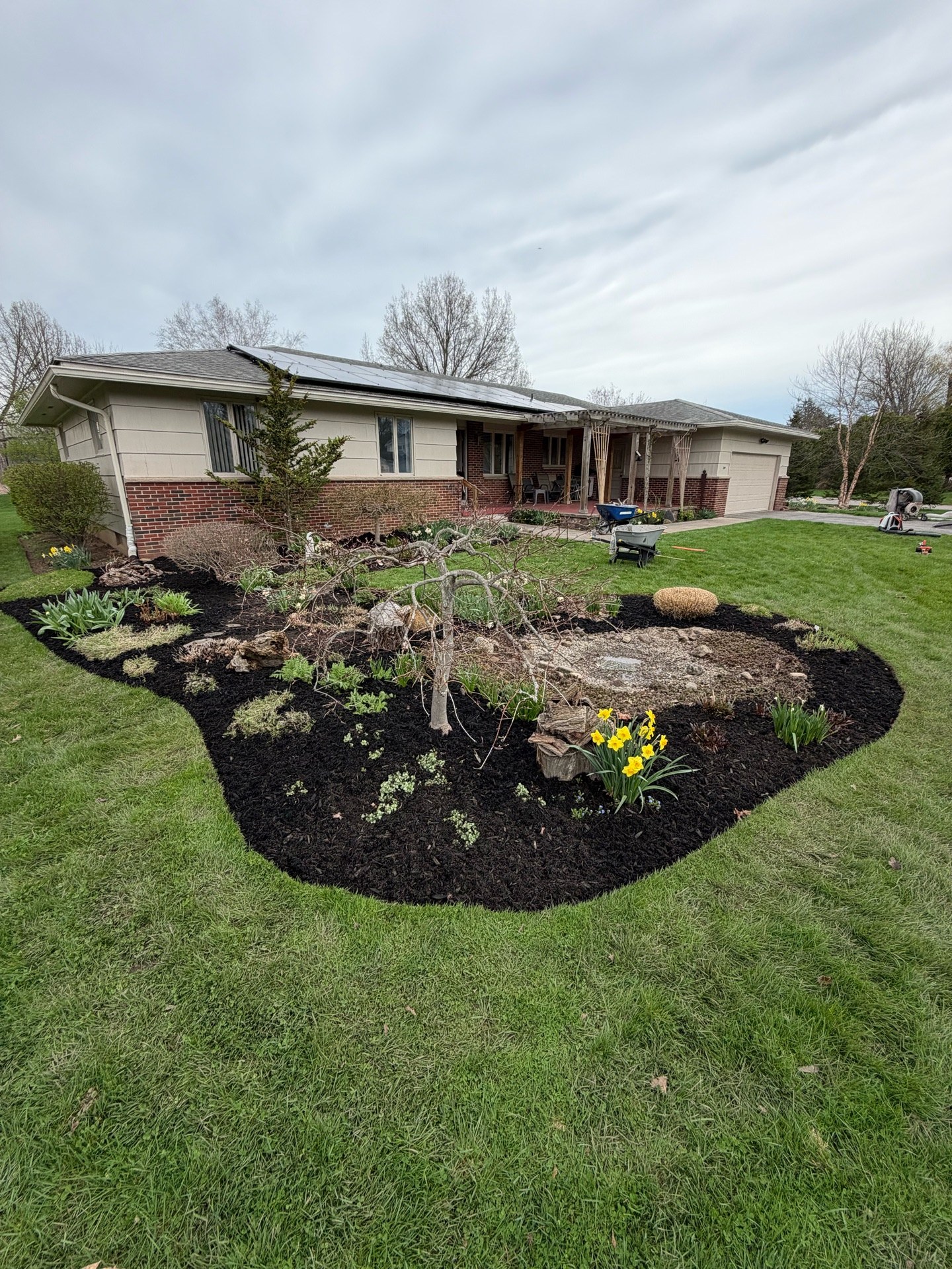 Freshly edged and mulched beds