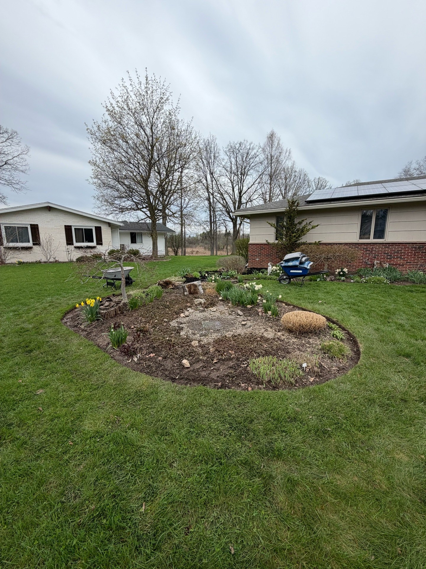 Beds before the spring cleanup