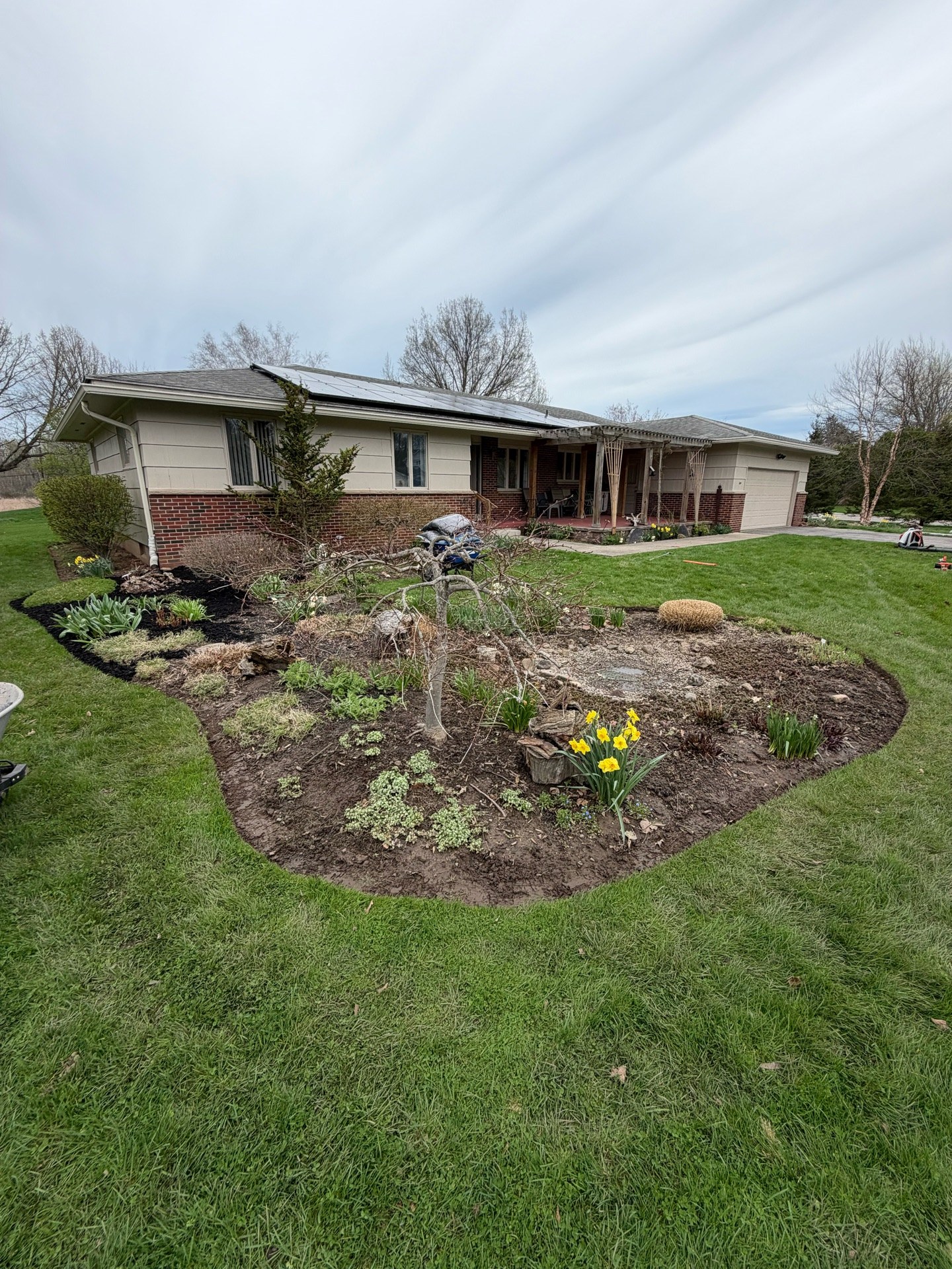 Beds before the spring cleanup