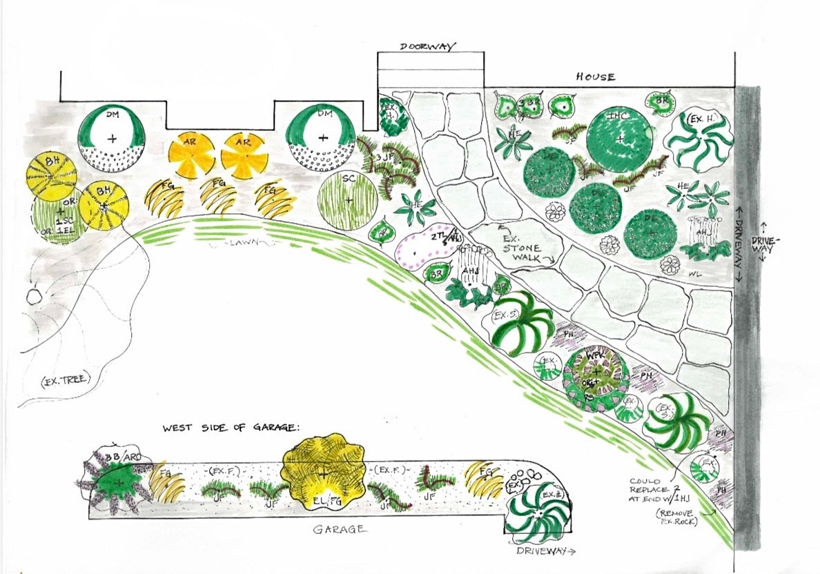 Drawn-to-scale front-yard landscape design with site-appropriate, deer-aware plant choices (Photo 2)