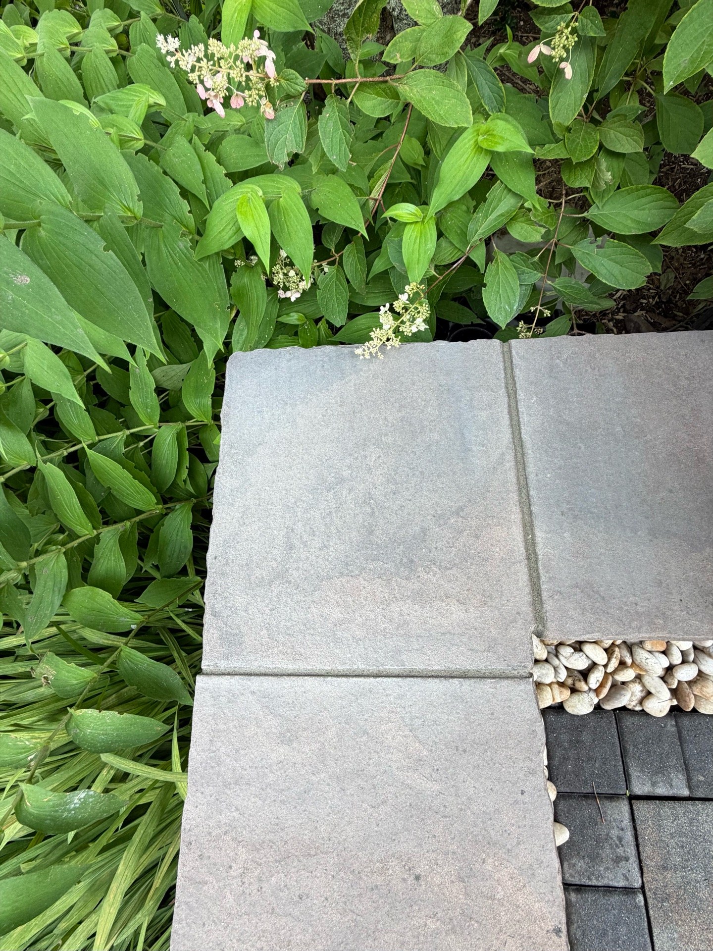 Paver patio restoration with sandstone steps and retaining walls — releveled, cleaned, re-mortared joints, new polymer sand and seal coat (After 1)