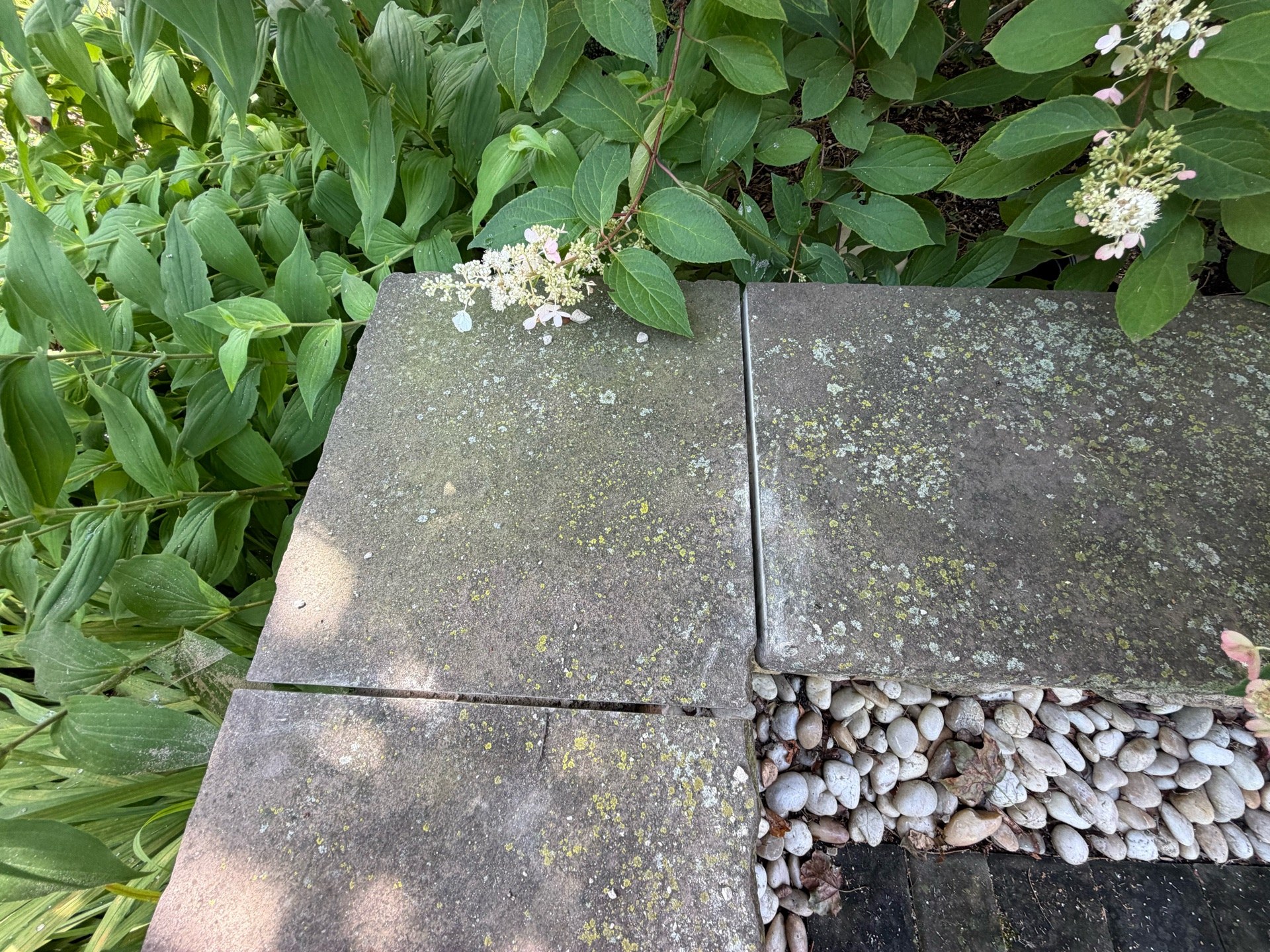 The patio before restoration