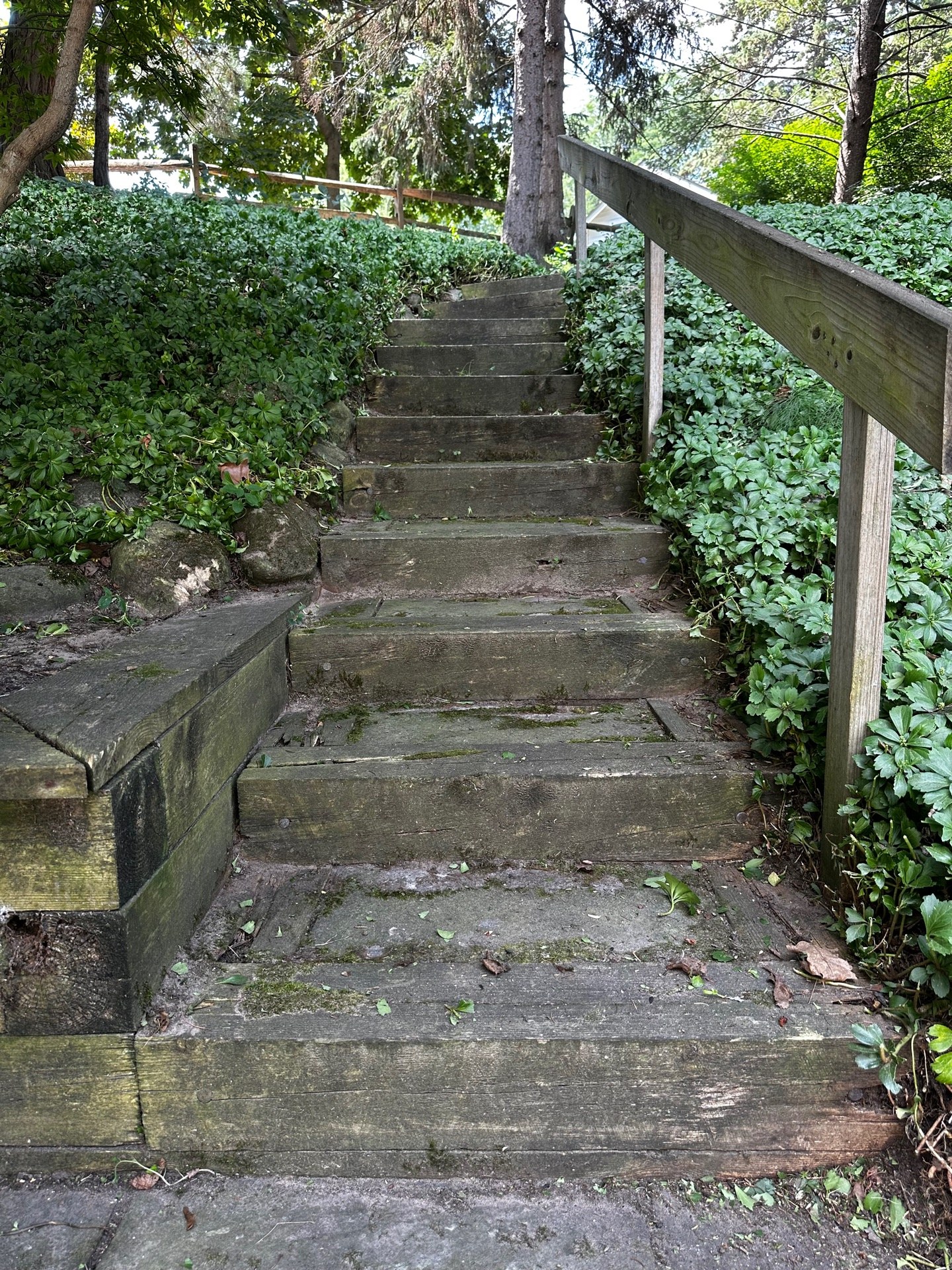 The stairs and wooden wall covered in moss